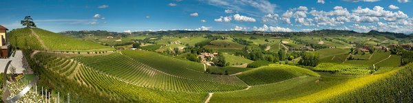 Weinreben panorama aus dem Piemont in Italien von Cà Del Piemonte